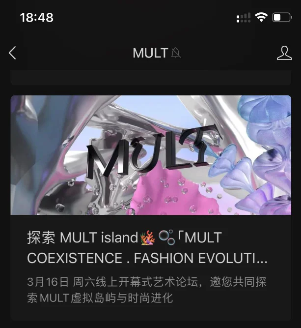 MULT ISLAND project image 6.3